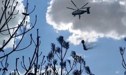 Kırklareli’deki orman yangını söndürüldü: 35 dekar alan zarar gördü