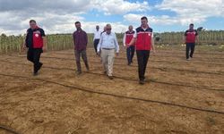 Tekirdağ'da dolunun vurduğu köylerde hasar tespit çalışmaları sürüyor
