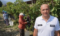 Manisa’dan dünyaya üzüm ihracatı başladı