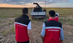 Çekirge üreme alanları ilaçlandı