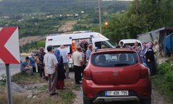 Freni tutmayan hafif ticari araç, anne ile iki çocuğuna çarptı