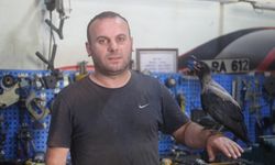 Karga ile tamircinin sıradışı dostluğu...Tamirhanede birlikte çalışıyorlar