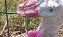 Kırklareli Bahçelerinde Dekoratif Süsler İlgi Çekiyor
