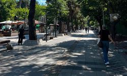 İstasyon Yürüyüşleri Sürüyor