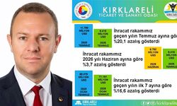 Kırklareli'nin Temmuz Ayı İhracatı 9,4 Milyon Dolar Oldu