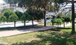 Şehrin Ortasında Serin Bir Mola Noktası