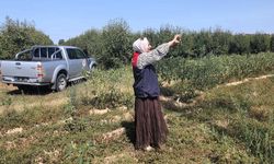 Babaeski’de Referans Parsel Çalışmaları Sürüyor