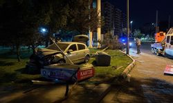 Otomobil parka daldı, ortalık savaş alanına döndü