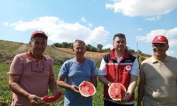 Tekirdağ karpuzu tezgâhlara çıkıyor