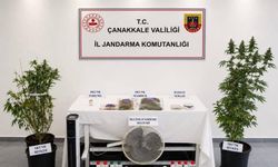 Çanakkale'de jandarmadan uyuşturucu operasyonu: 68 gözaltı