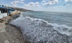 Marmara'da deniz ulaşımına poyraz engeli