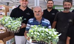Tekirdağ’da üreticiye kışlık sebze desteği: 104 bin fide dağıtılıyor