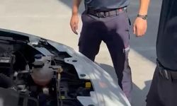 Burdur'da hayat kurtaran not: Aracın motor kısmına giren yavru kedi kurtarıldı