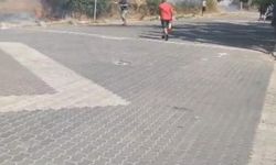 Trafonun patlaması sonucu çıkan yangın tatilcilere panik yaşattı