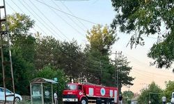 Muratlı'da ağaçlık alanda çıkan yangın söndürüldü