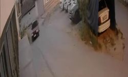 Çocukların oynadığı sokağa drift atarak girdi, hızla uzaklaştı