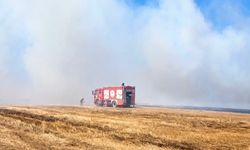 Tekirdağ'da anız yangını