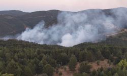 Kastamonu’da çıkan orman yangını kontrol altına alındı