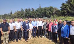 Tarım ve Orman Bakan Yardımcısı Gizligider Edirne'de ayçiçeği hasadına katıldı