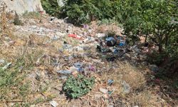 Okulun dibindeki metruk alan çöplüğe döndü