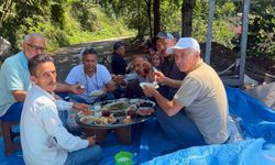 Apar topar İstanbul’a gittiler, yarım kalan fındık hasadını köylüler tamamladı
