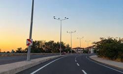 Muratlı'da leylekler direkleri mesken tuttu