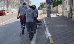Pehlivanköy’de Bordürler Yenilendi, İlçe Güzelleşti