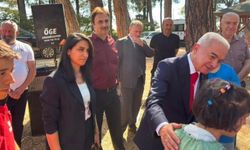 İnece Korusunda Piknik