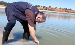 Balık Yavruları Salındı