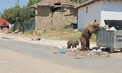 Bozayı Meriç'in köylerini geziyor