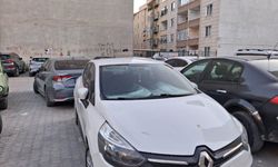 Kavurucu Sıcakta Araçlar Güneşten Korunuyor