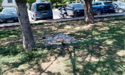 Susayan Kuşlara Hortumdan Can Suyu