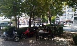 Küçük Gölgelik Yaz Sıcağında Nefes Aldırıyor