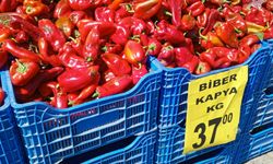 Kapya Bibere Yoğun İlgi