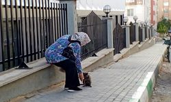 Kırklareli'nde Sokak Kedisini Besleyen Yaşlı Kadın Yürekleri Isıttı