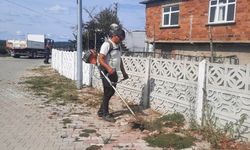 Kıyıköy’de Sokak Temizliği Çalışmaları Sürüyor