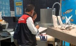 Lüleburgaz’da Su Ürünleri Denetimleri Sürüyor