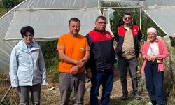 Lüleburgaz’da Örtü Altı Üretim Alanlarında Saha Kontrolleri Yapıldı