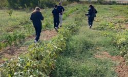 Kırklareli’nde Çocuklar Tarladan Sofraya Üretimi Öğrendi