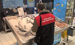 Lüleburgaz’da Su Ürünleri Denetimleri Sürüyor