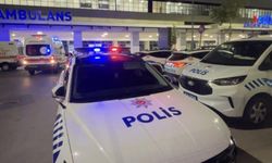 Damda halı yıkarken elektrik akımına kapılan 2 kadın hayatını kaybetti