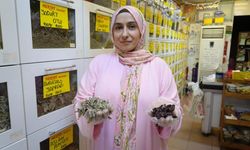 Kışın şifası için aktarların yolu tutuldu