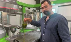 Avrupa ilaç yerine ilk hasat zeytinyağı içiyor