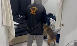 Edirne’de uyuşturucu operasyonu: Skunk, kokain, para ve hassas teraziler ele geçirildi