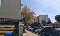 Kırklareli’nde Sonbahar Renkleri Kendini Gösteriyor