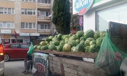Market raflarında karpuz azaldı, Kavakdere karpuzu tezgâhlarda