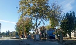 Soğuk Hava Kendini Hissettirdi