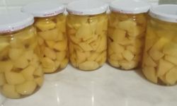 Kışlık Ayva Kompostosu Hazırlıkları Başladı
