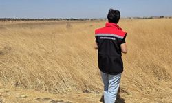 ÇKS Kayıtlarına Göre Arazi Tespiti