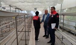 Lüleburgaz’da Seralarda Tespit ve Kontrol Çalışması